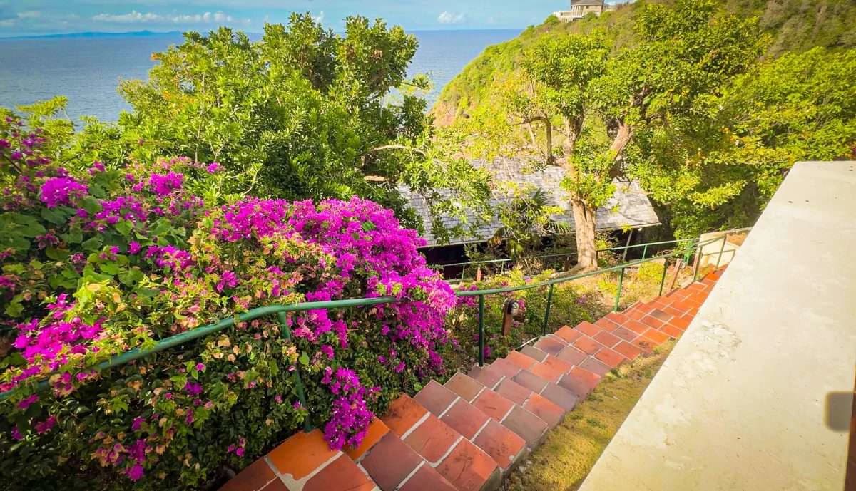 Sea Cliff, Cap Estate. - photo 19