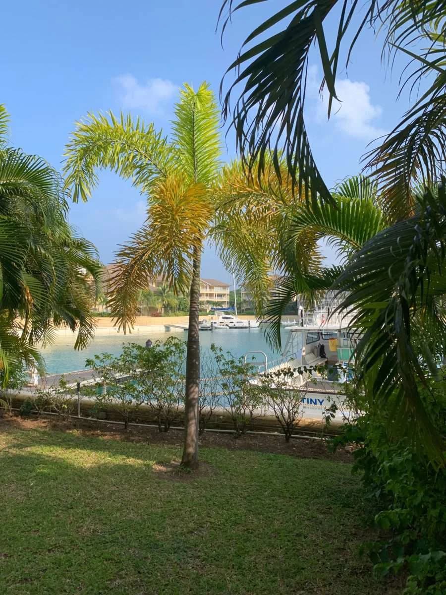 Landing 2301, Rodney Bay. - photo 24