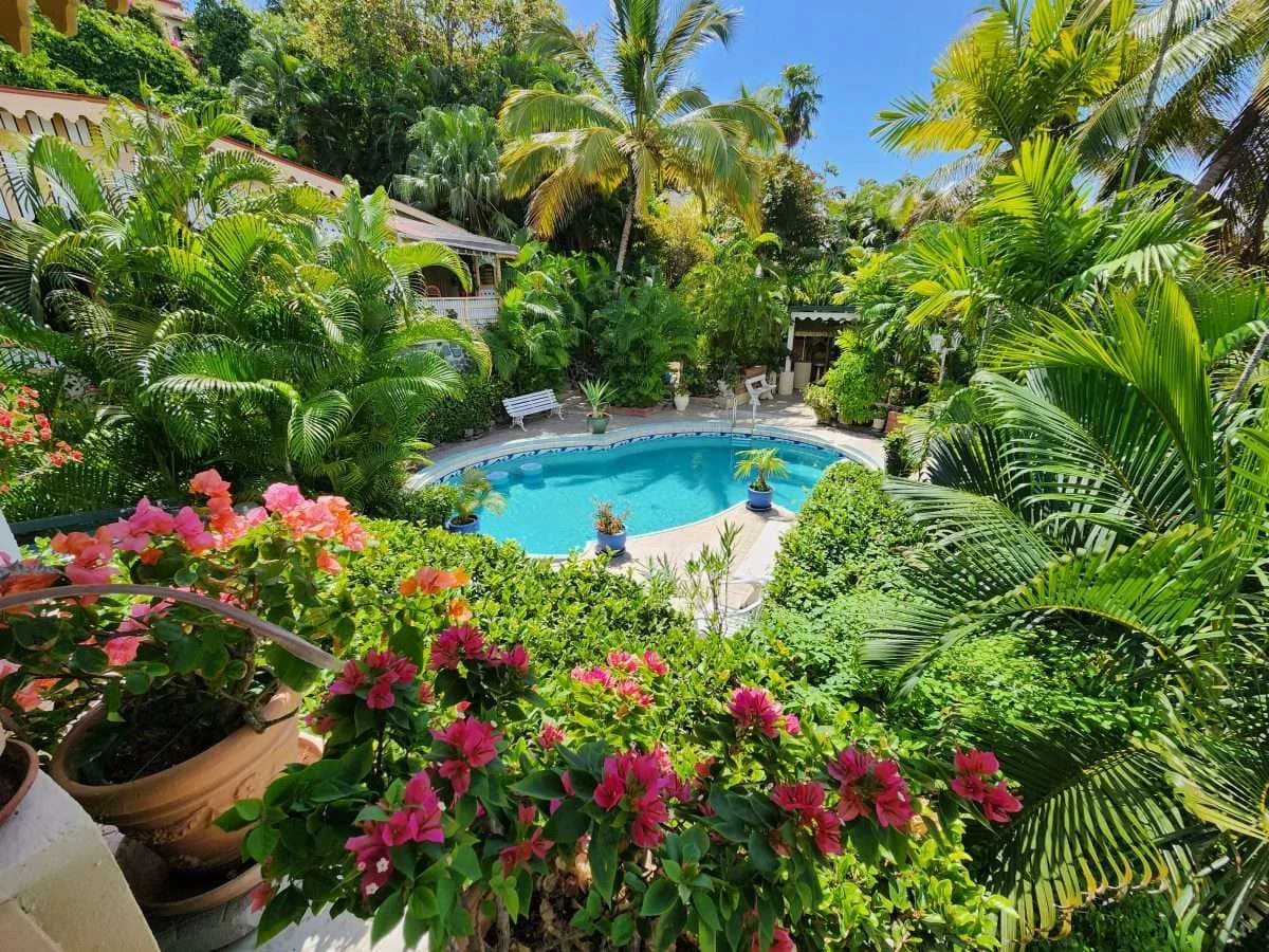 Palm Garden Villa, Cap Estate. - photo 18