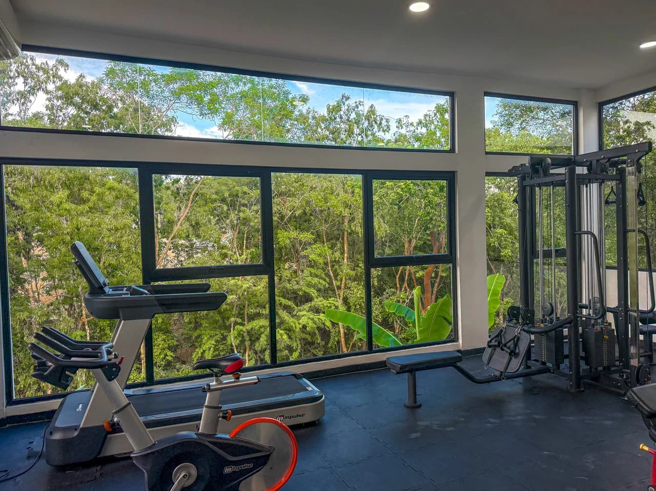 Studio Naia | Incredible Price - photo 19