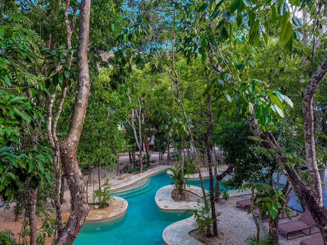Studio Naia | Incredible Price - photo 20