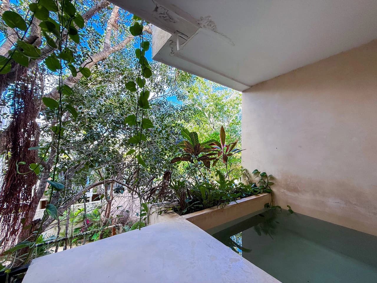 Maxia Lofts | 1-Bedroom Condo with Plunge Pool for Sale in Tulum - photo 10