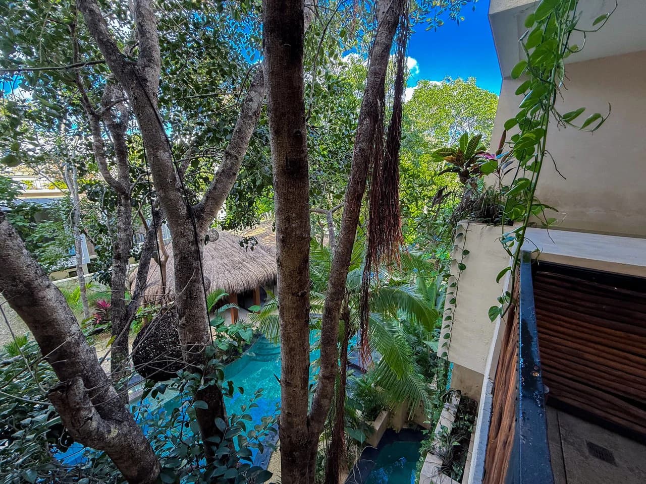 Maxia Lofts | 1-Bedroom Condo with Plunge Pool for Sale in Tulum - photo 11