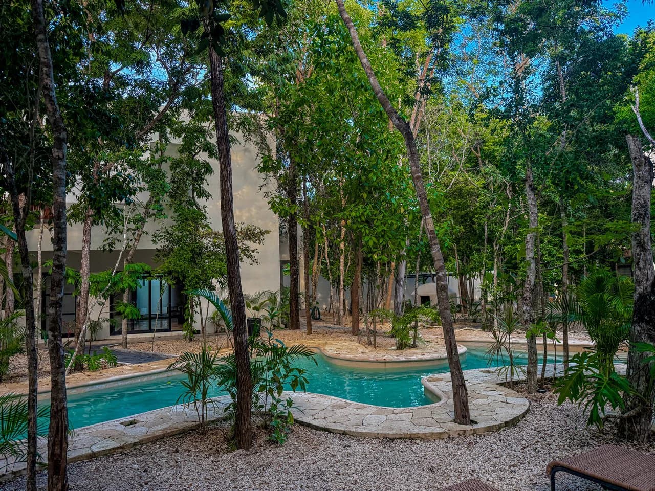 Studio Naia | Incredible Price - photo 12