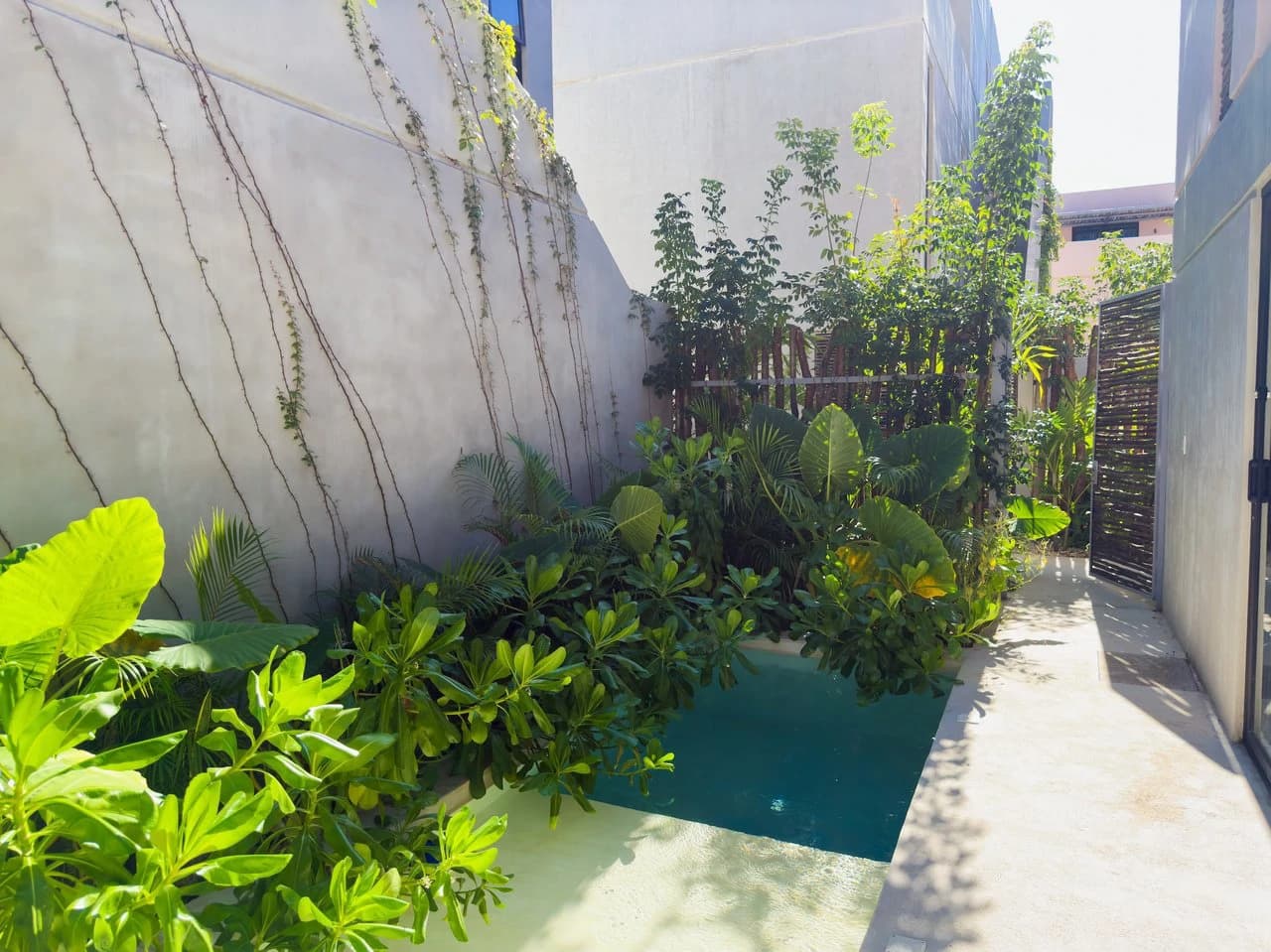 Seremonia 1.6 | Lock-Off Villa with Rooftop Pool in Tulum - photo 8