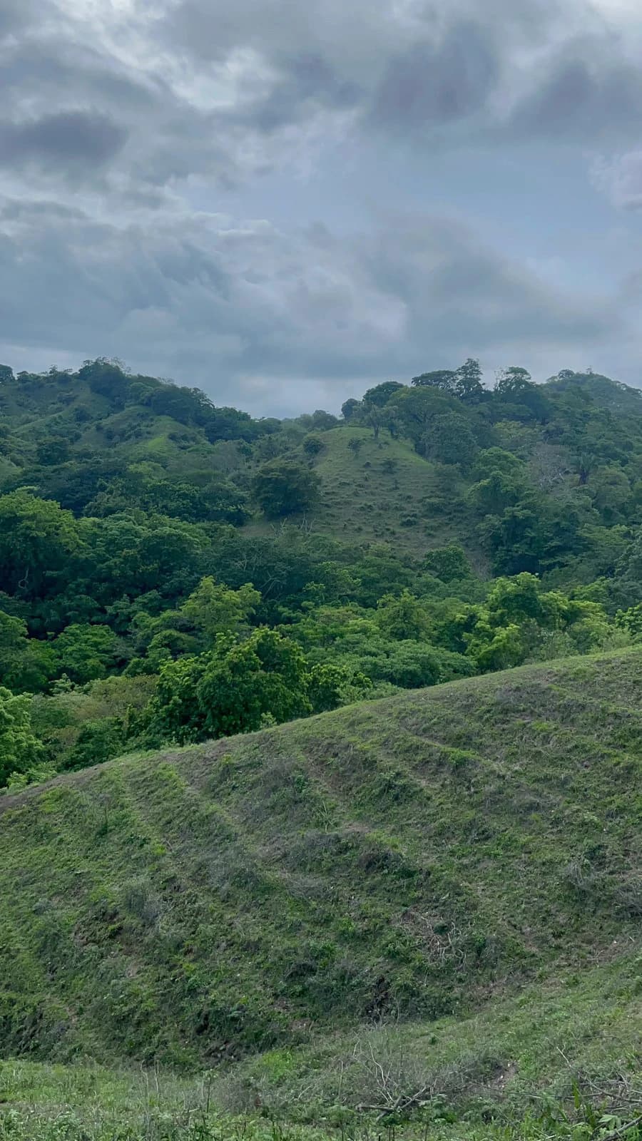 The Grove Compound, 7 Plots | Playa Venao