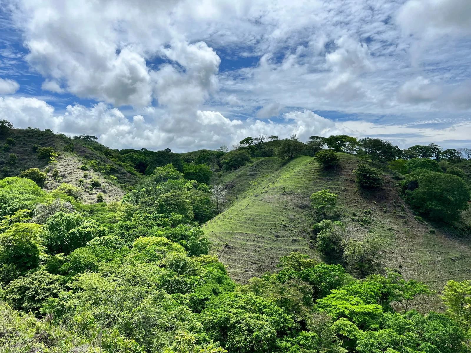 The Bluff Compound, 4 Plots | Playa Venao