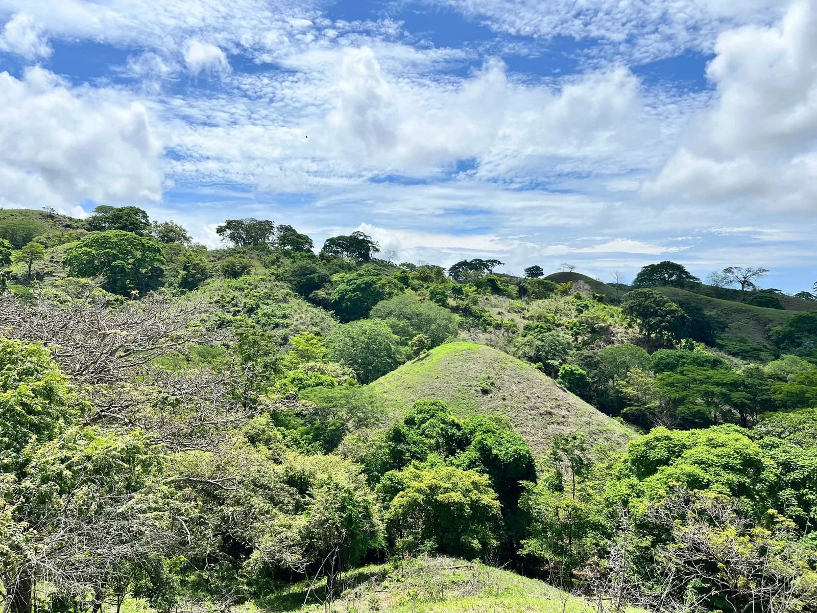 The Glen Compound, 3 Plots | Playa Venao