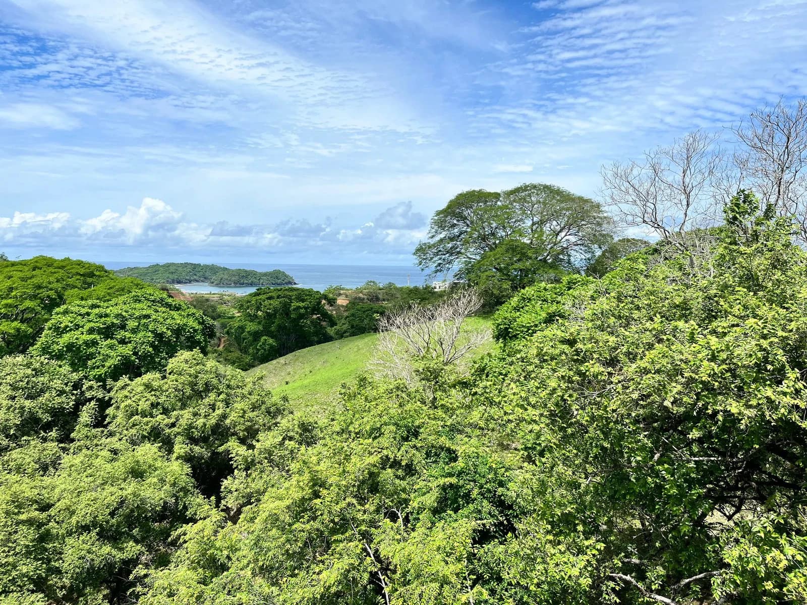 The Knoll Compound, 3 Plots | Playa Venao