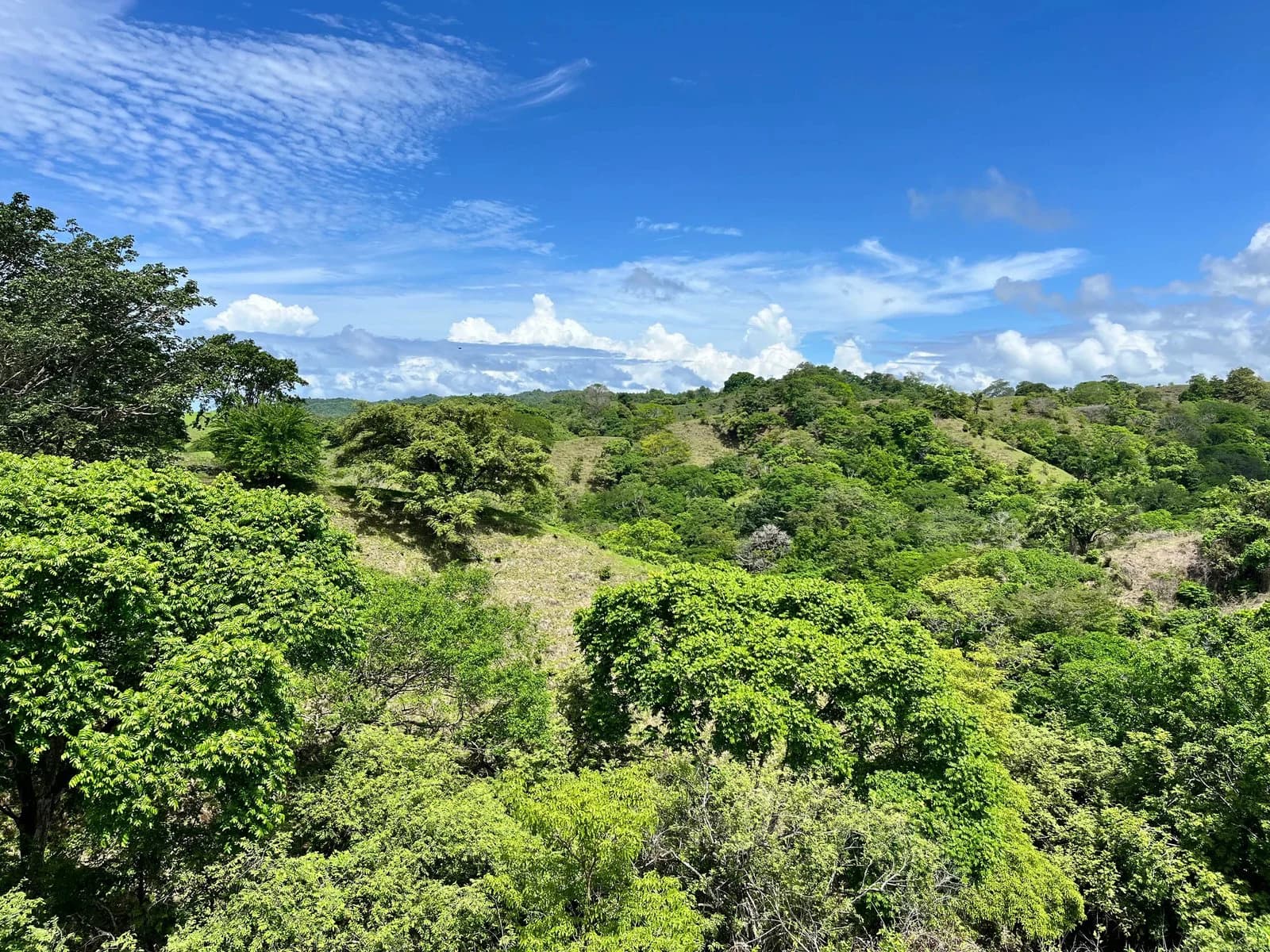 The Nook Compound, 3 Plots | Playa Venao