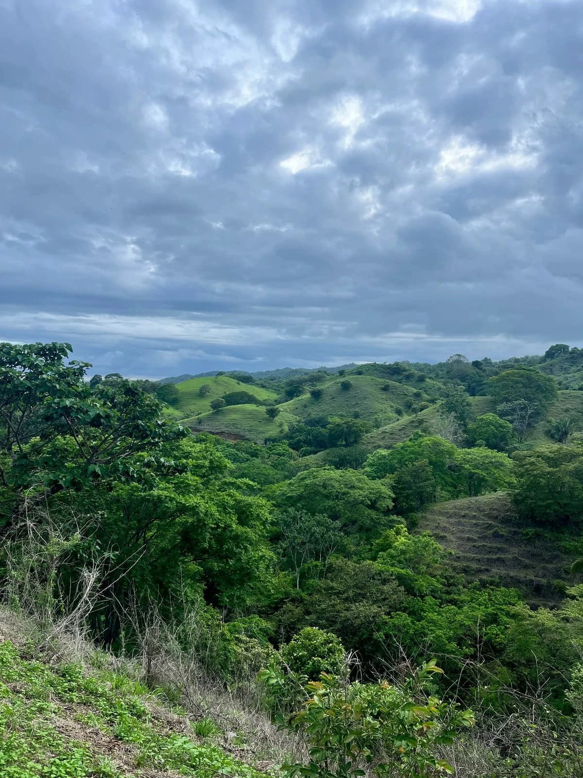 The Meadow Compound, 6 Plots | Playa Venao