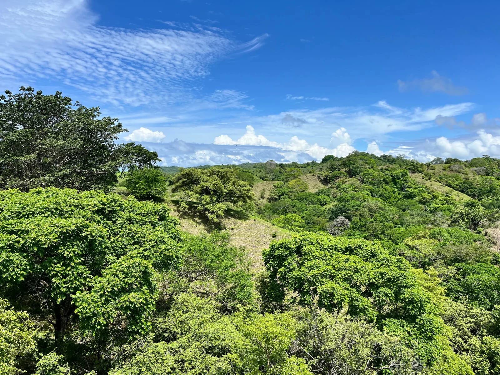 The Terrace Compound, 5 Plots | Playa Venao