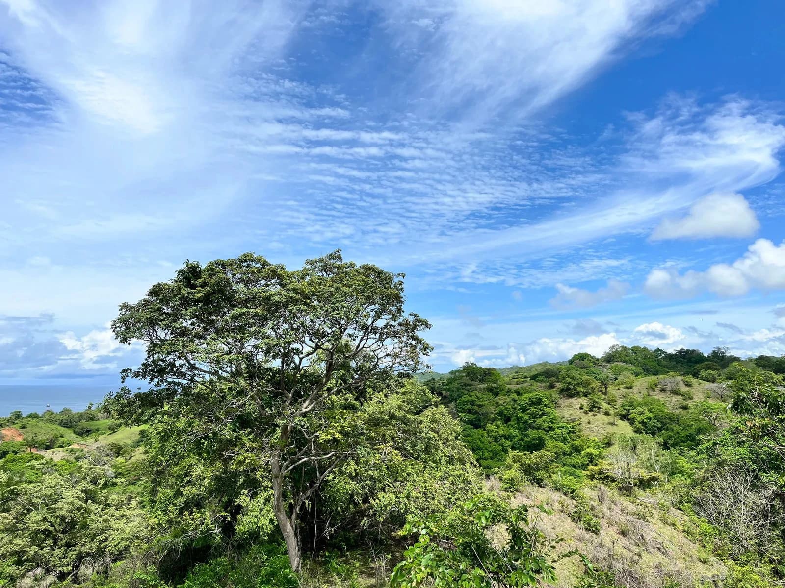 The Vale Compound, 6 Plots | Playa Venao