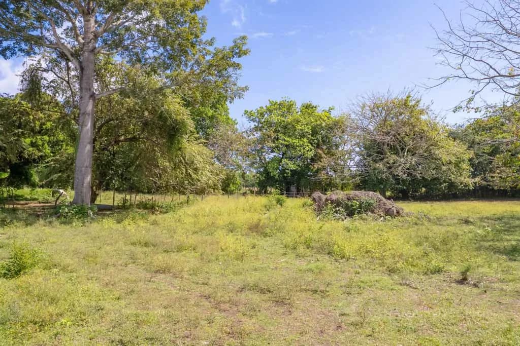 Land in Pedasi - photo 13