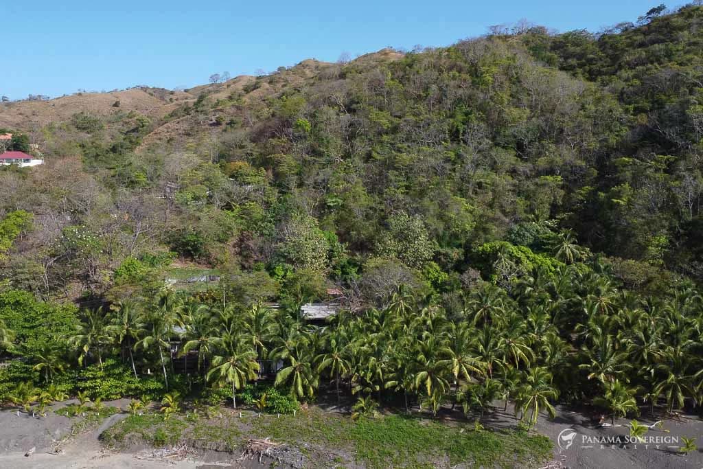 Land in Cambutal - photo 8