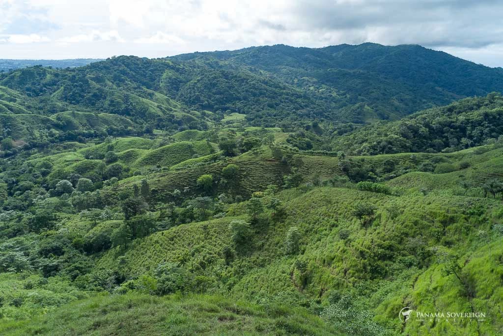 Land in Cambutal - photo 3