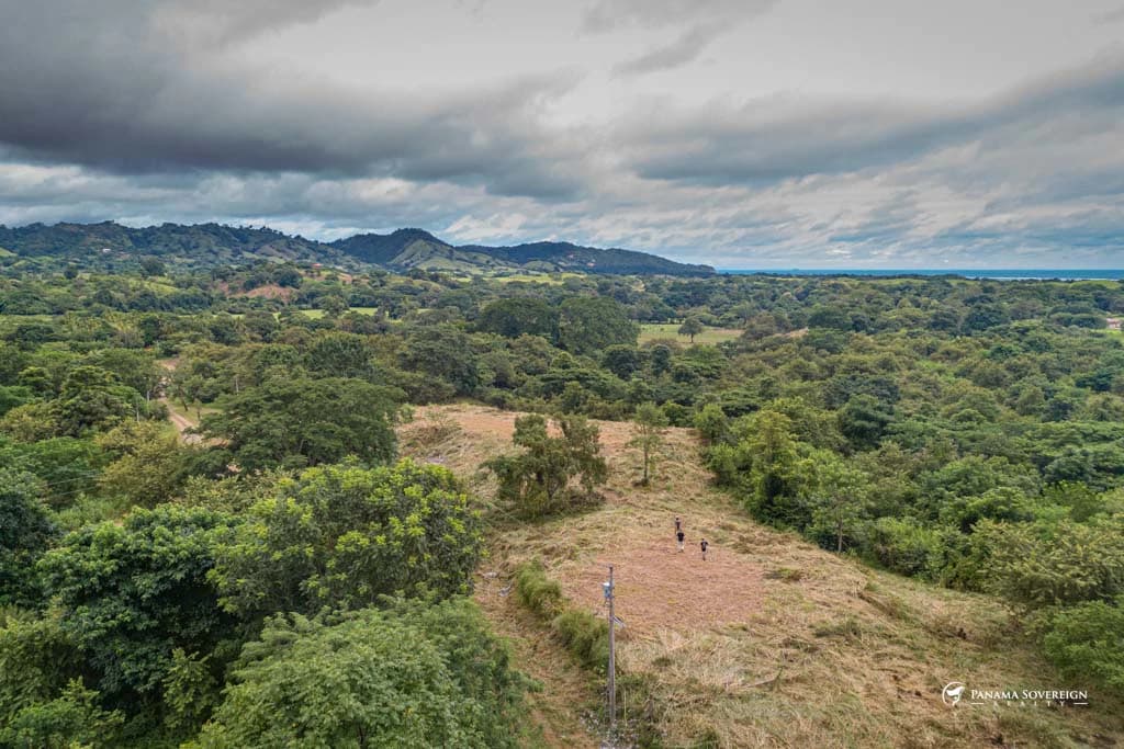 Land in Canas - photo 17