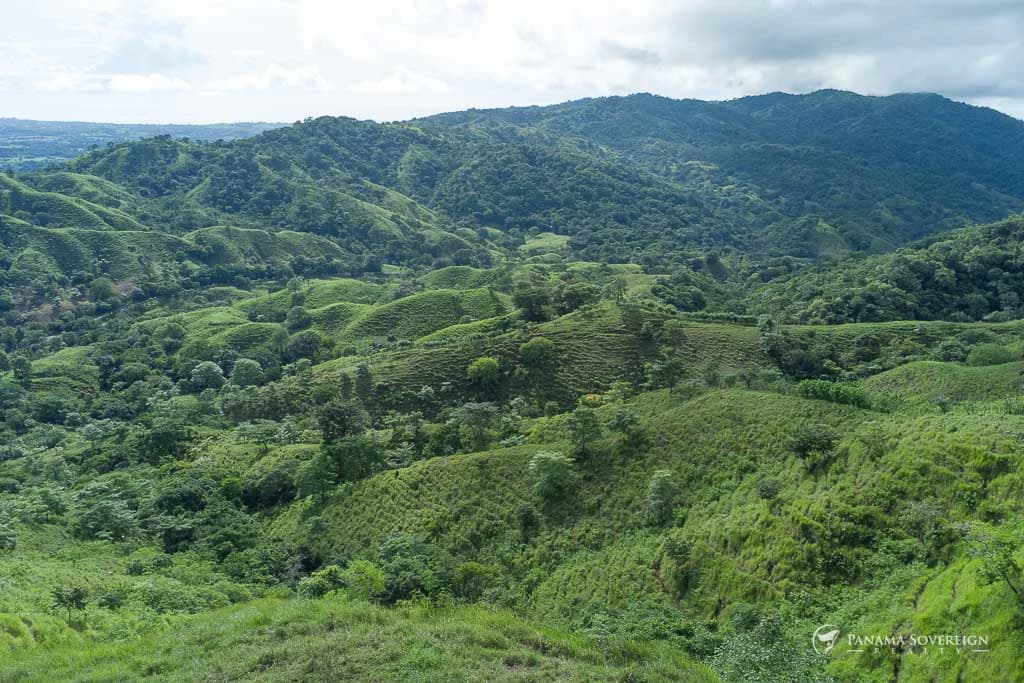 Land in Cambutal - photo 2