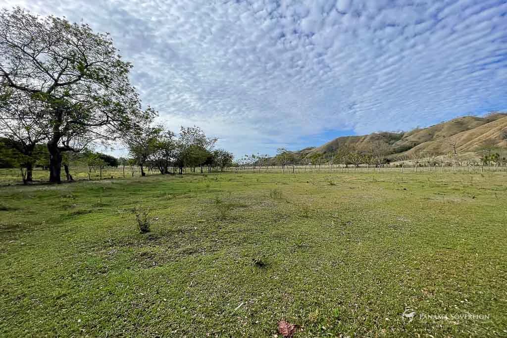 Land in Cambutal - photo 13