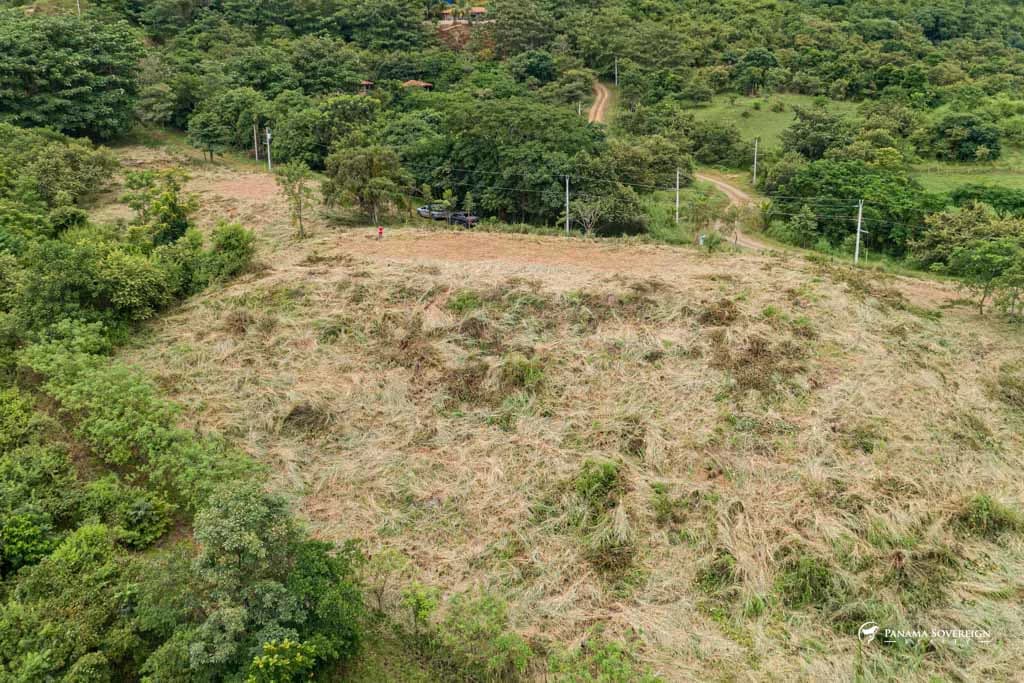 Land in Canas - photo 15