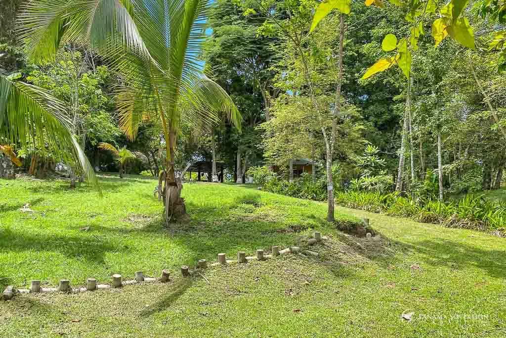 3 Bedroom House in San Carlos - photo 34