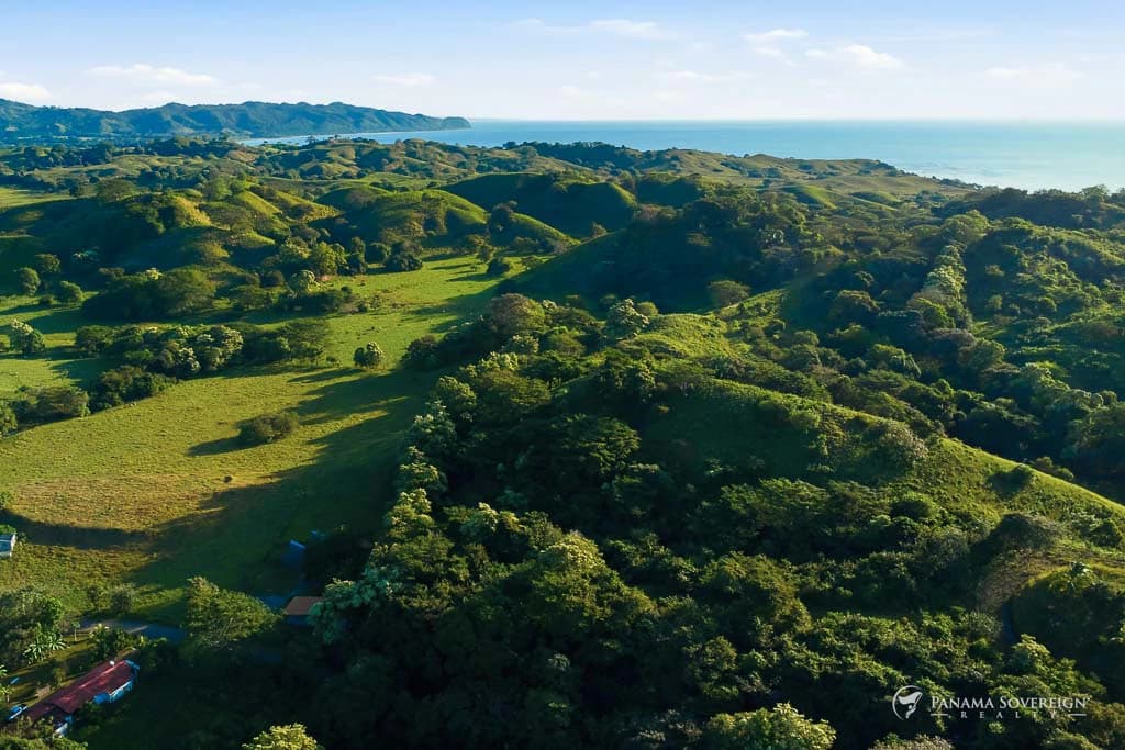 Land in Guanico - photo 3