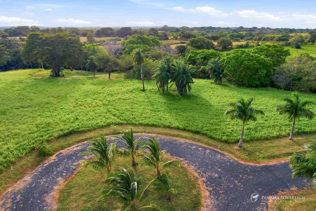 Land in Pedasi - photo 13
