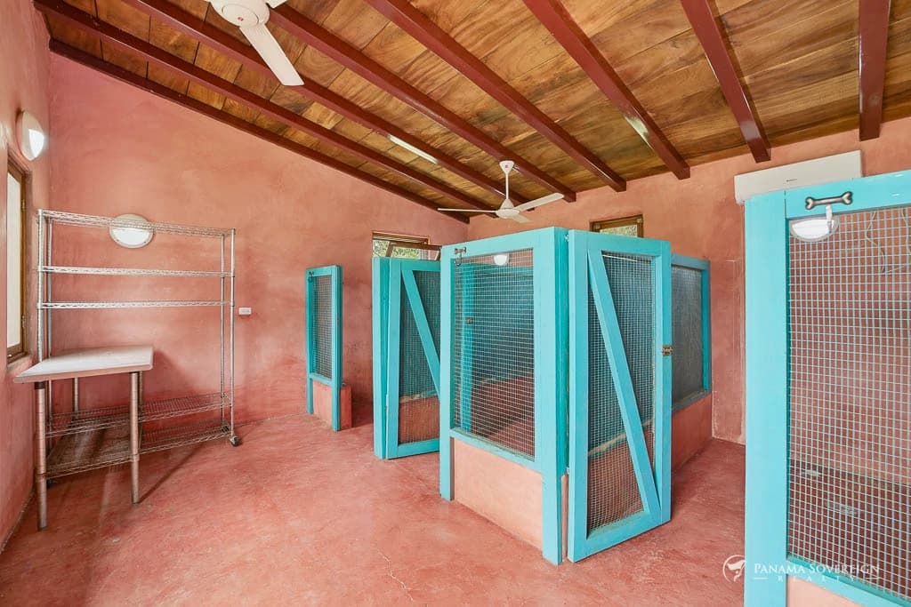 4 Bedroom House in Pedasi - photo 27