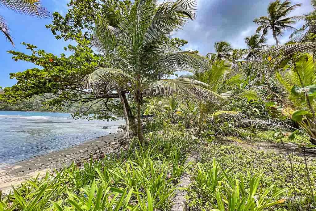 Land in Colon - photo 17