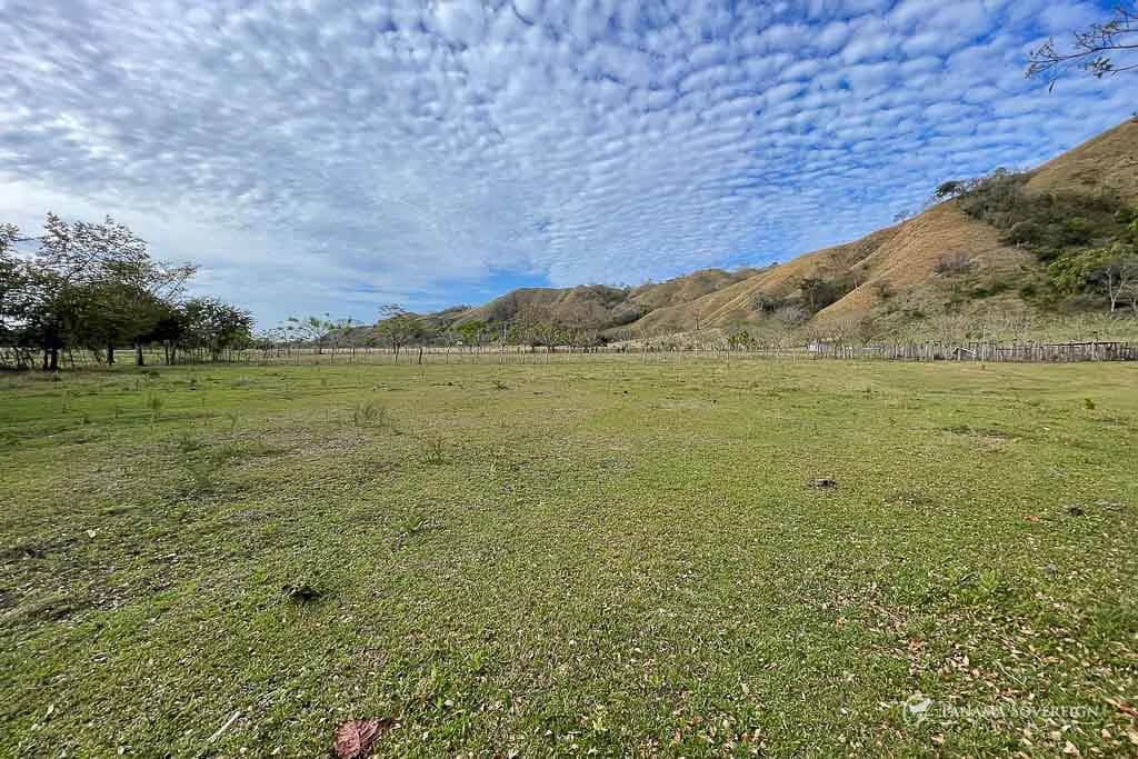 Land in Cambutal - photo 14