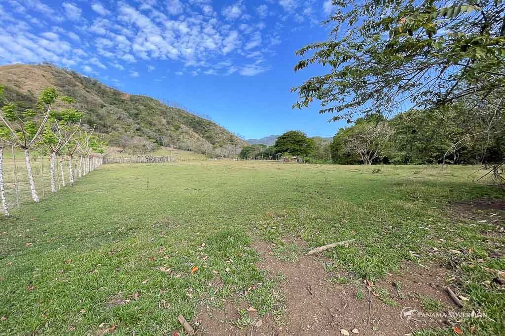 Land in Cambutal - photo 9