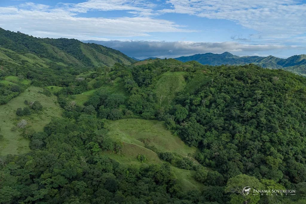Land in Cambutal - photo 3