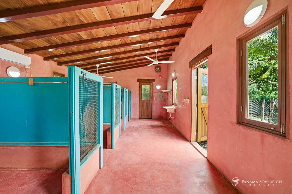 4 Bedroom House in Pedasi - photo 29