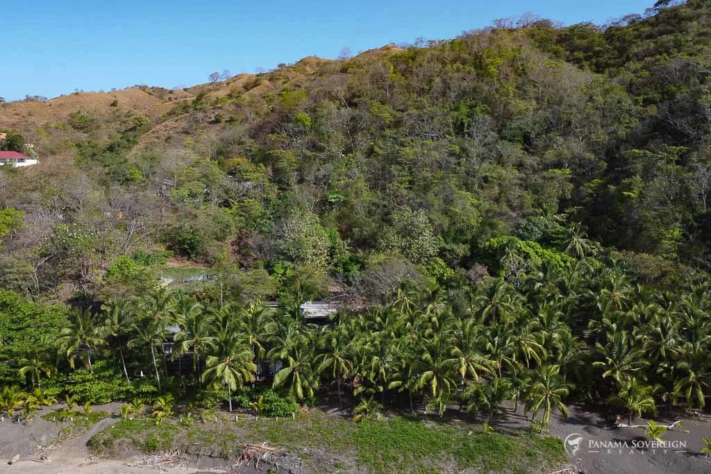 Land in Cambutal - photo 9