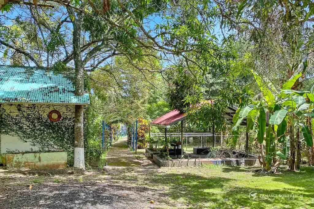 3 Bedroom House in San Carlos - photo 33