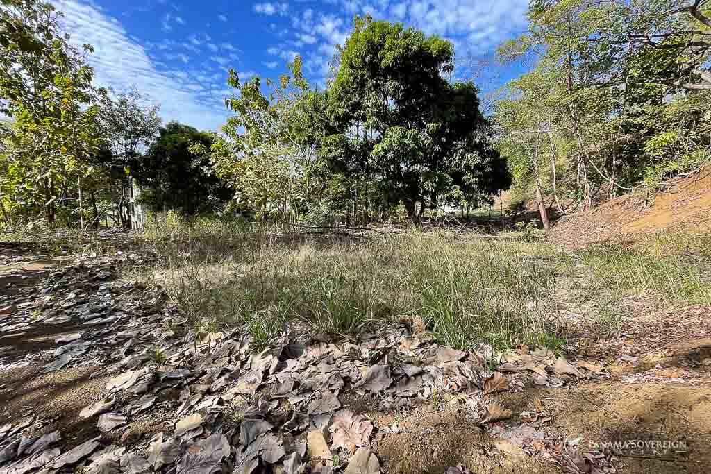 Land in Cambutal - photo 10