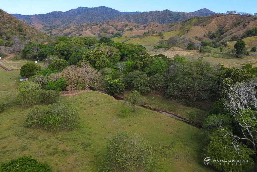 Land in Cambutal - photo 4