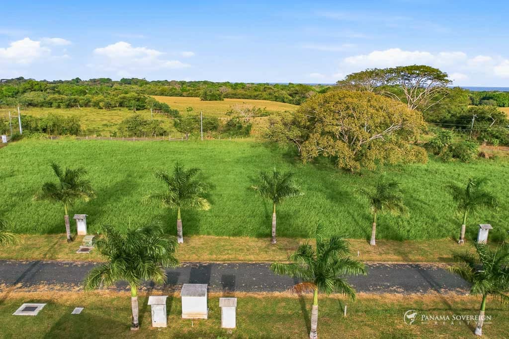 Land in Pedasi - photo 11