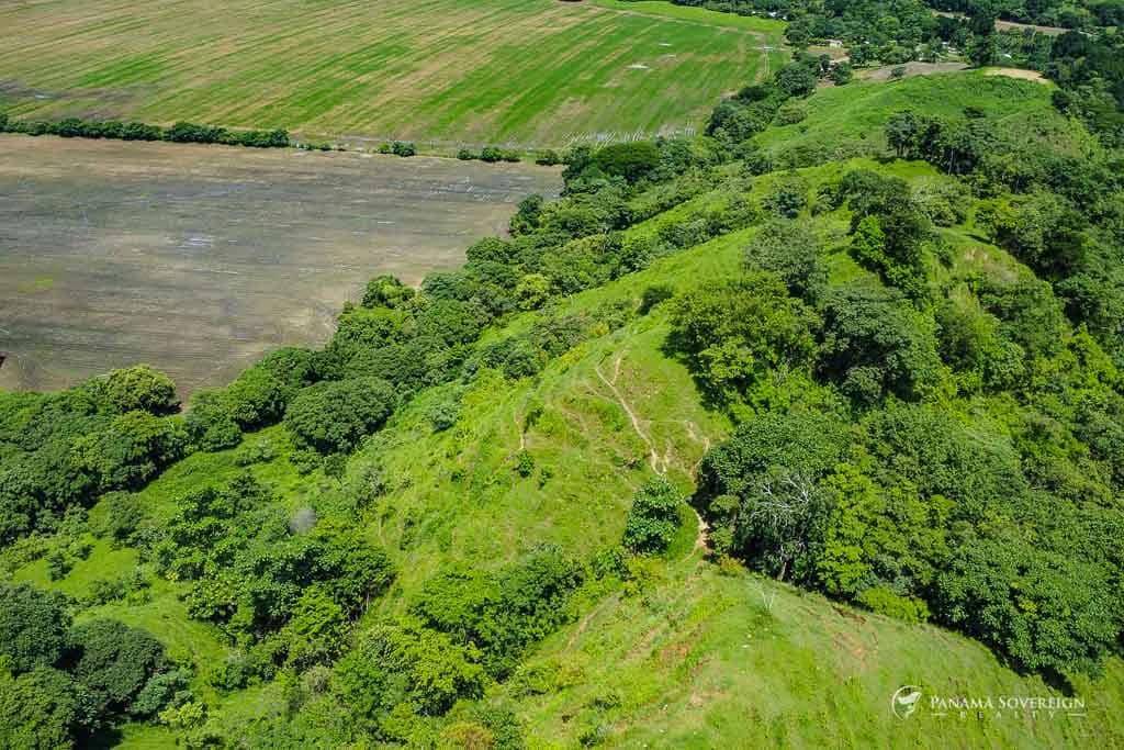 Land in Cambutal - photo 3