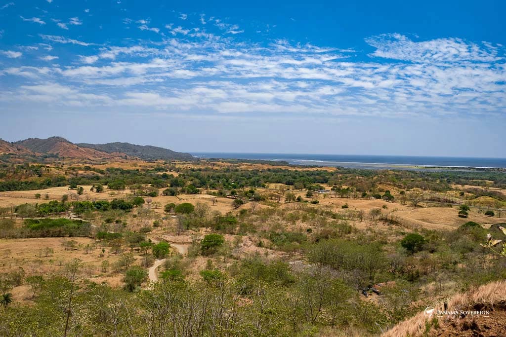 Land in Canas - photo 1