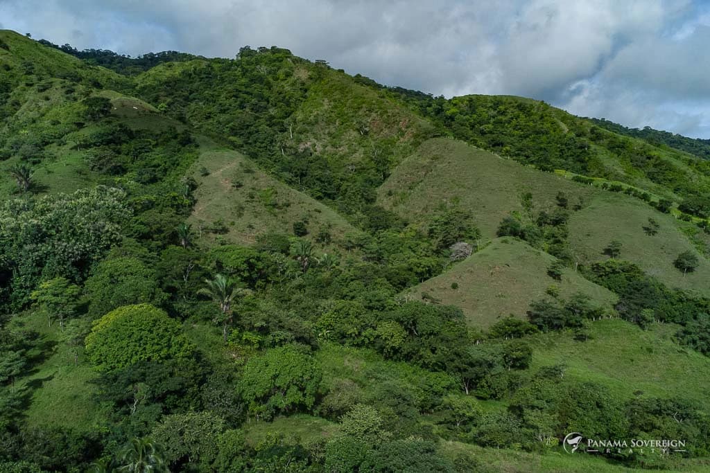 Land in Cambutal - photo 9