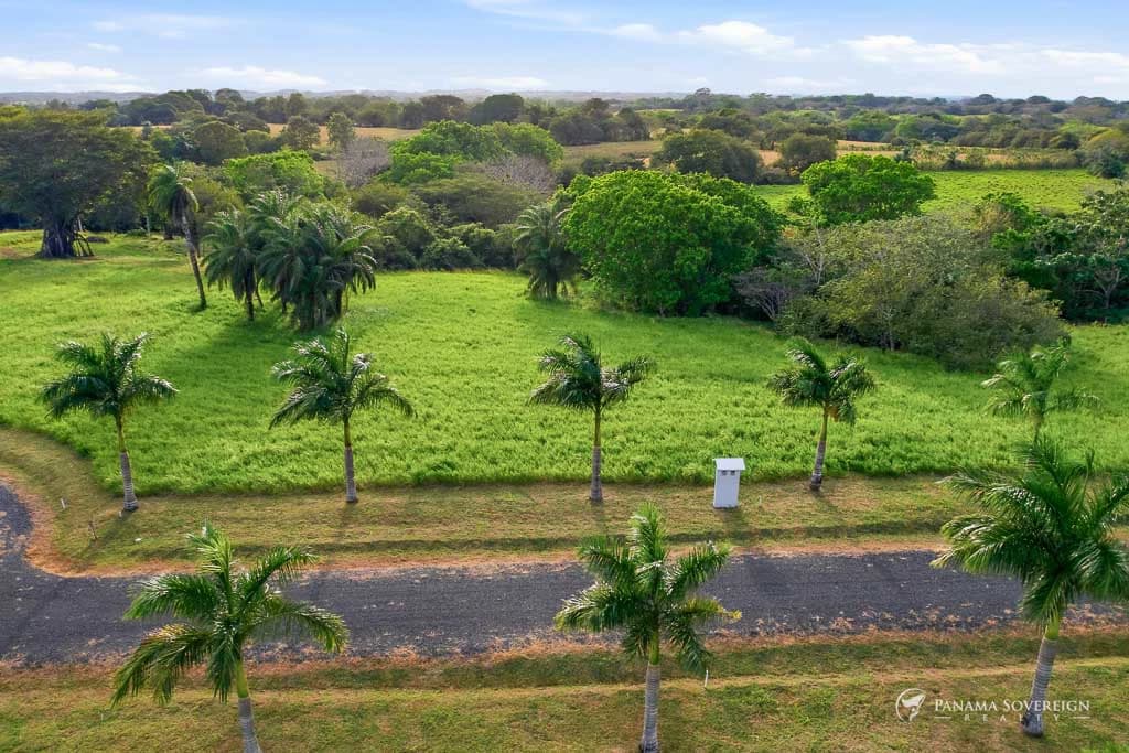 Land in Pedasi - photo 10