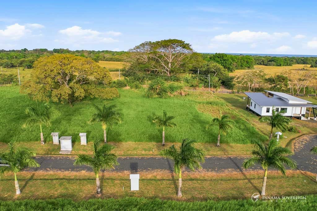 Land in Pedasi - photo 3