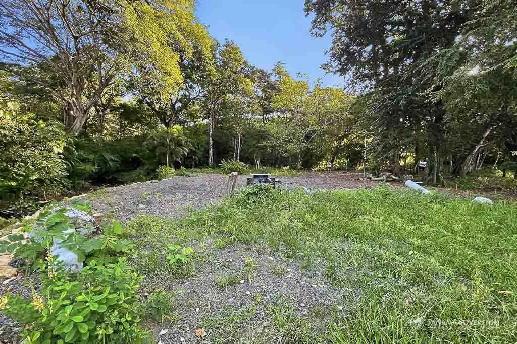 Land in Guanico - photo 6