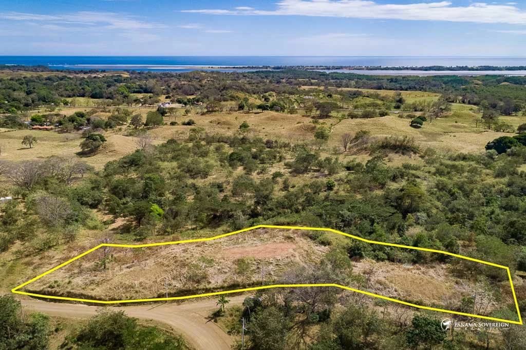 Land in Canas - photo 8