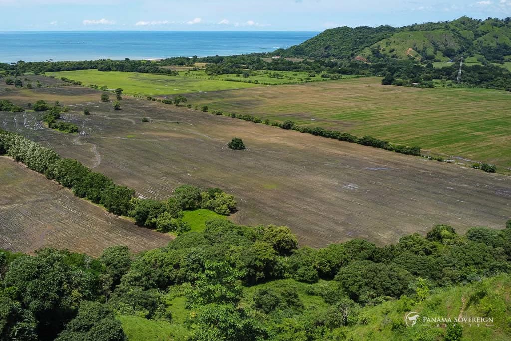 Land in Cambutal - photo 24