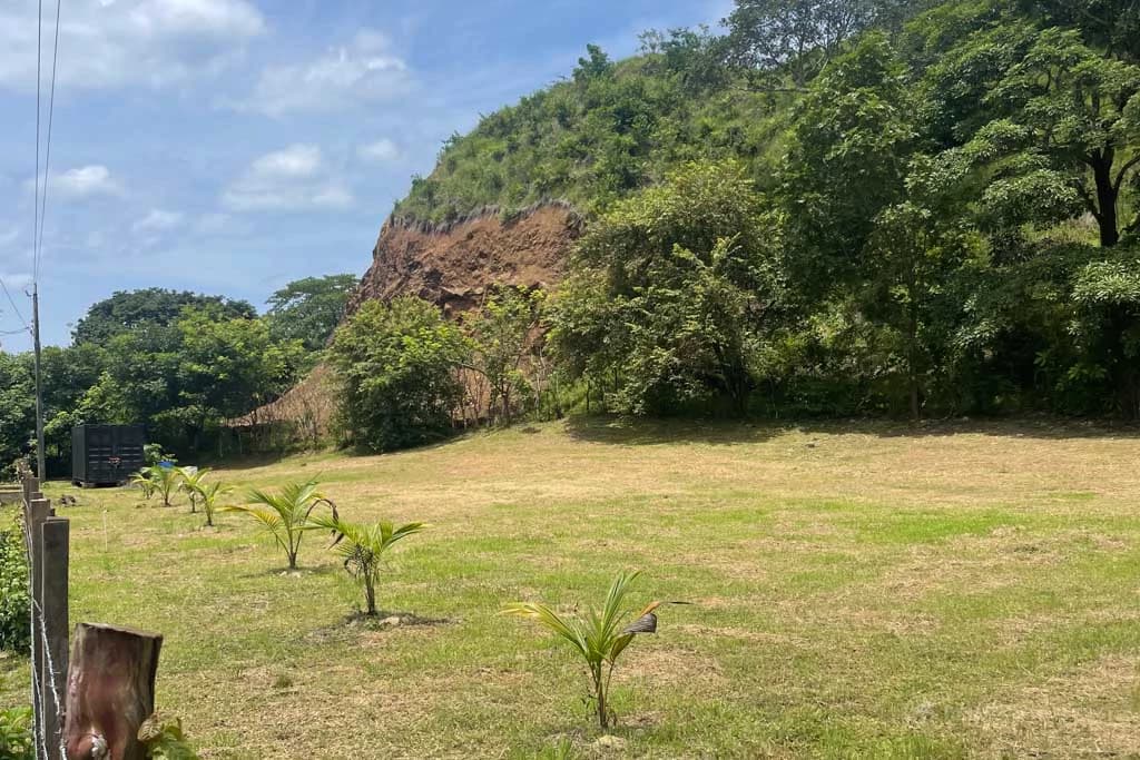 Land in Cambutal - photo 8