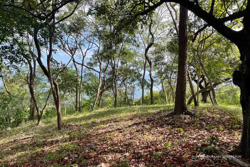 Land in Bucaro - photo 8