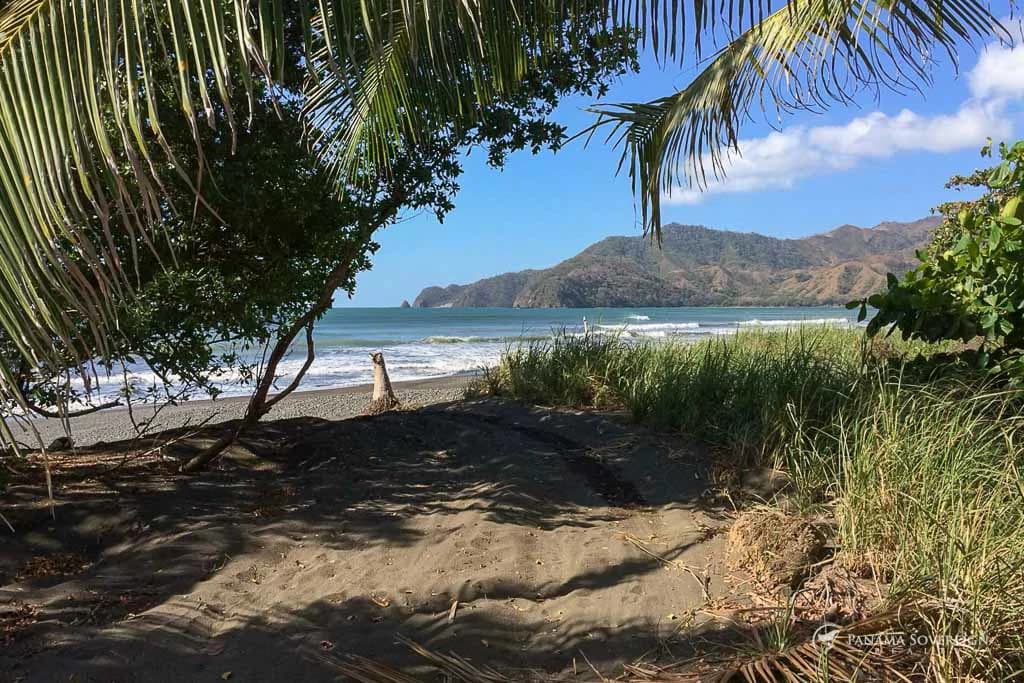 Land in Guanico - photo 2