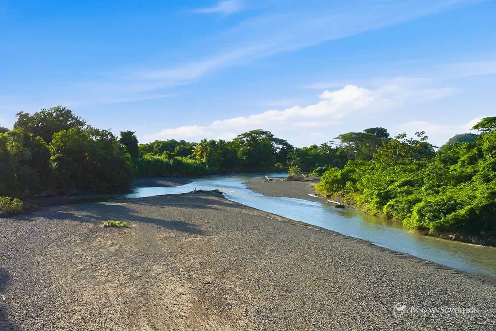 Land in Guanico - photo 2